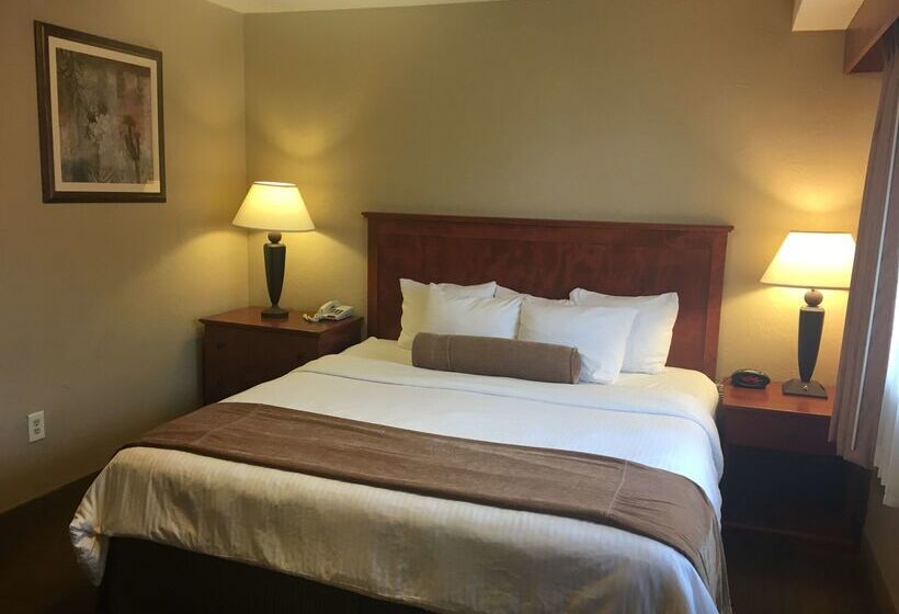 בית מלון כפרי Best Western Vista Inn At The Airport