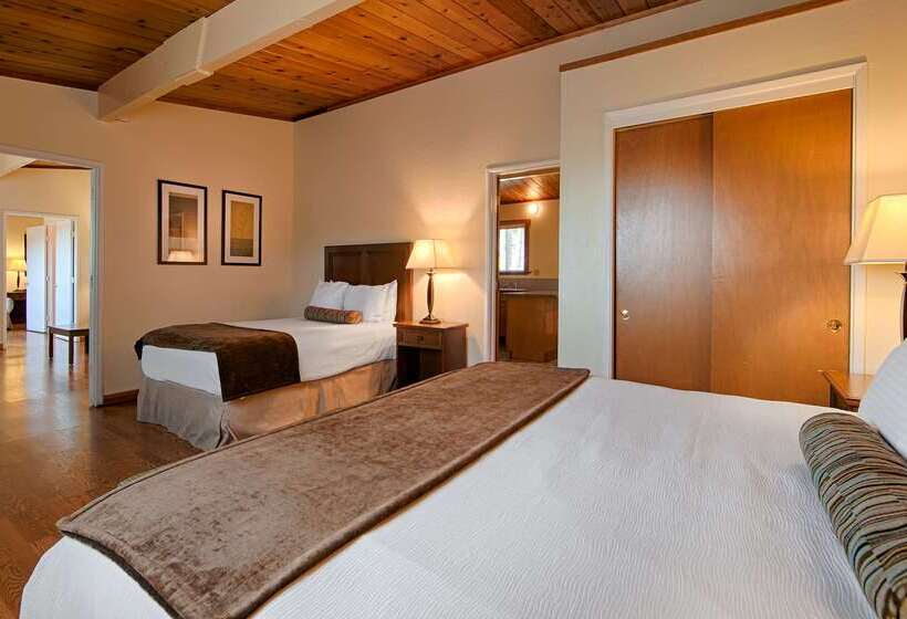 فندق Best Western Vista Manor Lodge