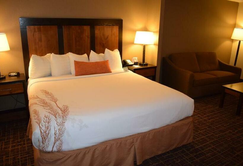 酒店 Best Western Wichita North