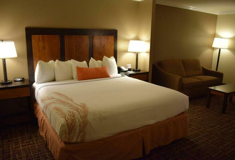 酒店 Best Western Wichita North