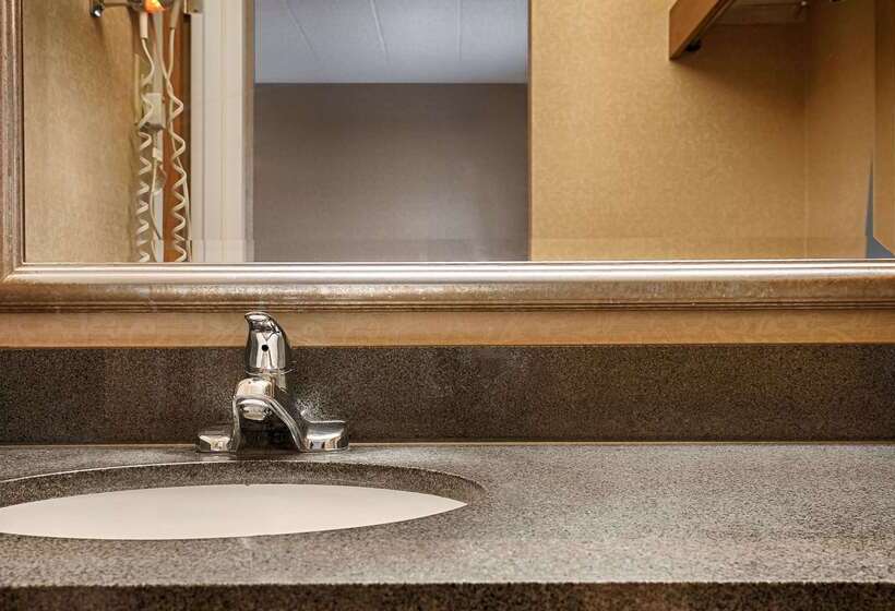 酒店 Best Western Woodhaven Inn