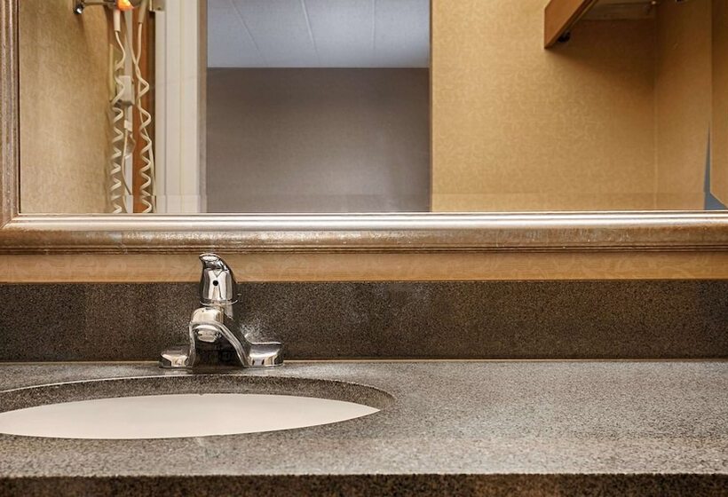 酒店 Best Western Woodhaven Inn