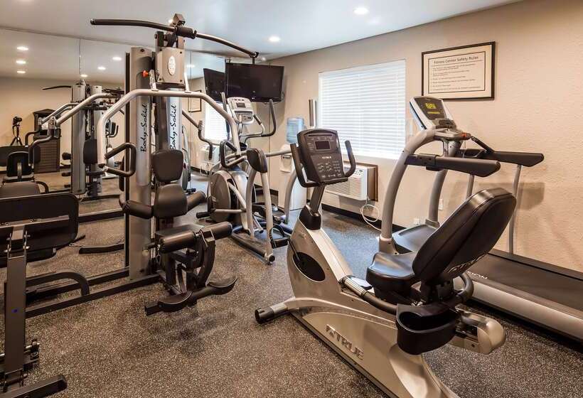 فندق Best Western York Inn