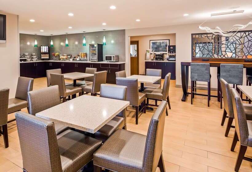 فندق Best Western York Inn