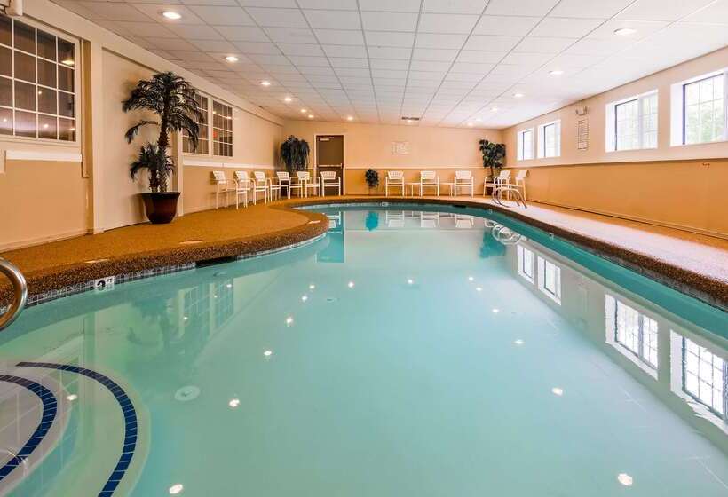 فندق Best Western York Inn