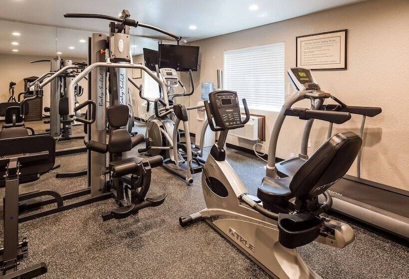 فندق Best Western York Inn