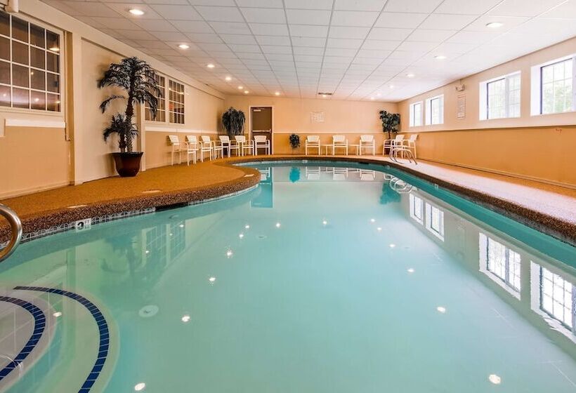 فندق Best Western York Inn