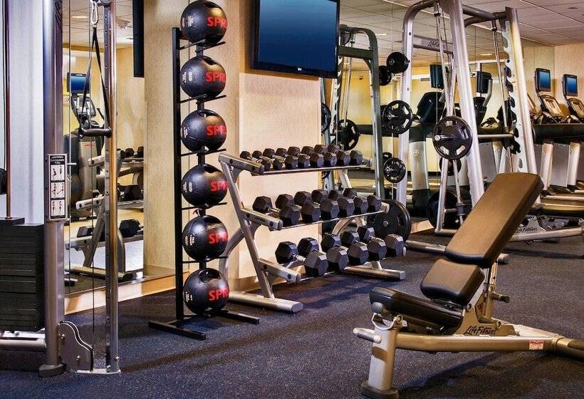 酒店 Bwi Airport Marriott