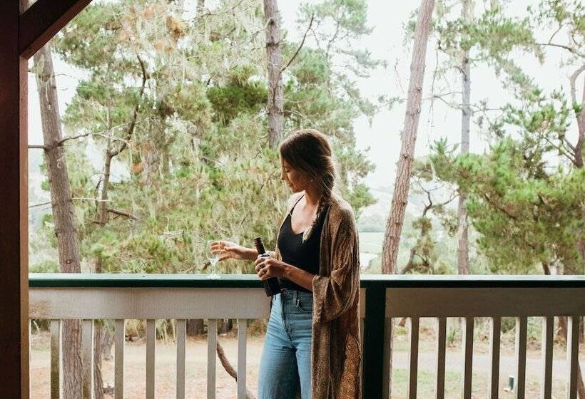 호텔 Cambria Pines Lodge