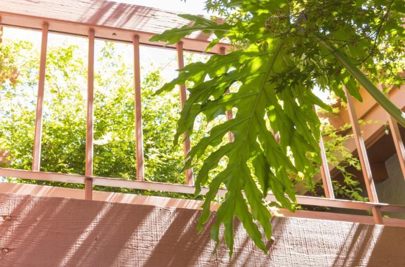 فندق Campbell Inn