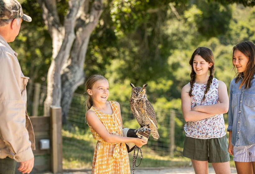 호텔 Carmel Valley Ranch, In The Unbound Collection By Hyatt