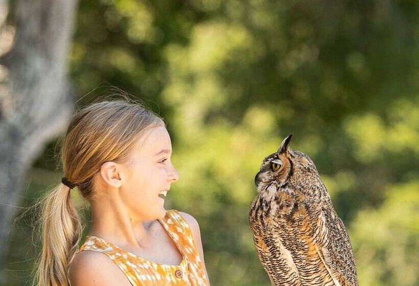 호텔 Carmel Valley Ranch, In The Unbound Collection By Hyatt