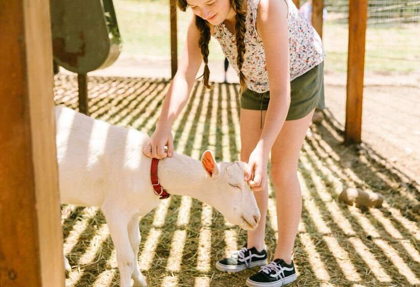 호텔 Carmel Valley Ranch, In The Unbound Collection By Hyatt