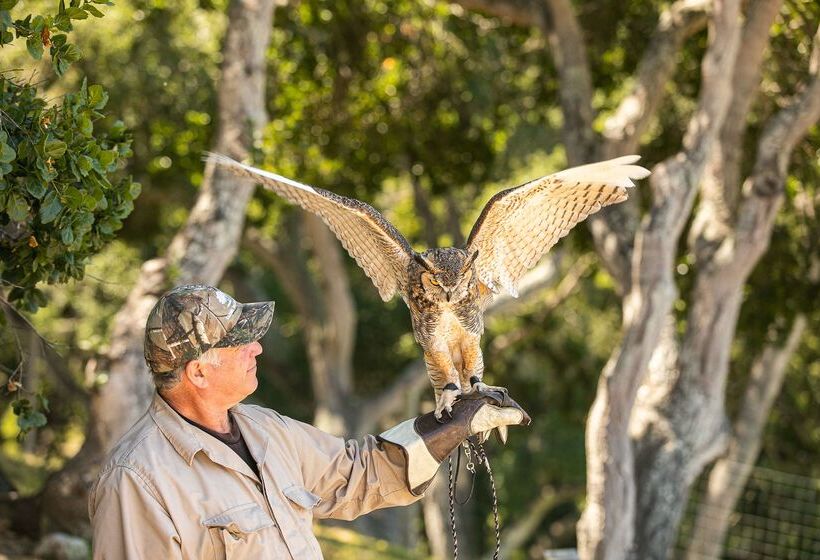 호텔 Carmel Valley Ranch, In The Unbound Collection By Hyatt