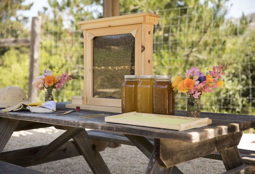 호텔 Carmel Valley Ranch, In The Unbound Collection By Hyatt