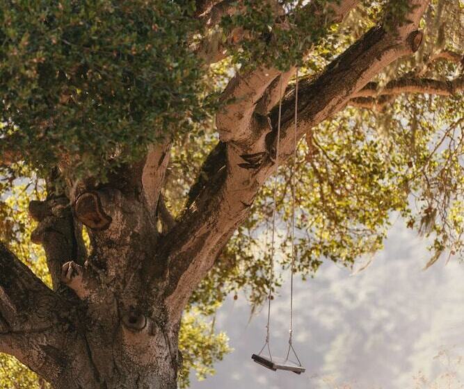 호텔 Carmel Valley Ranch, In The Unbound Collection By Hyatt