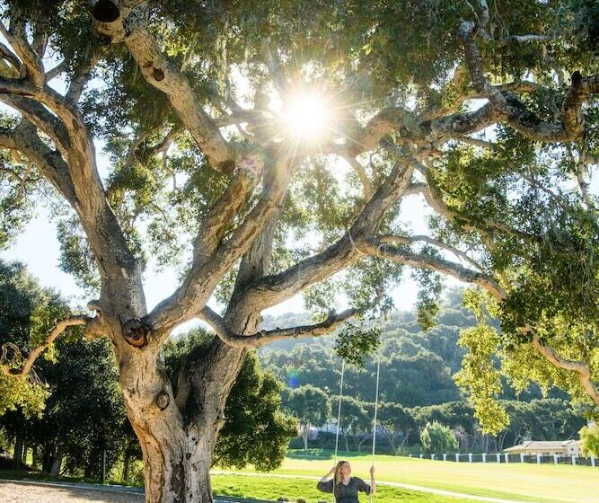 호텔 Carmel Valley Ranch, In The Unbound Collection By Hyatt