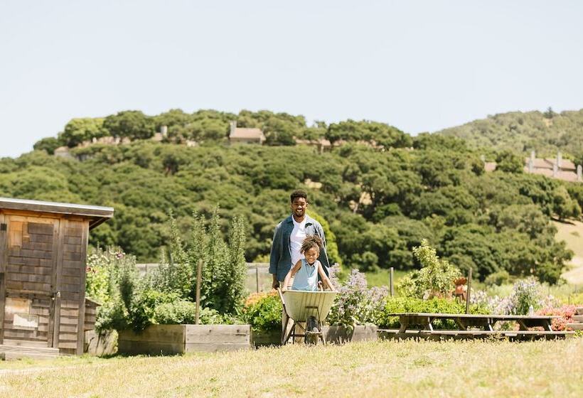 호텔 Carmel Valley Ranch, In The Unbound Collection By Hyatt