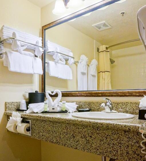 בית מלון כפרי Castle Inn And Suites Anaheim