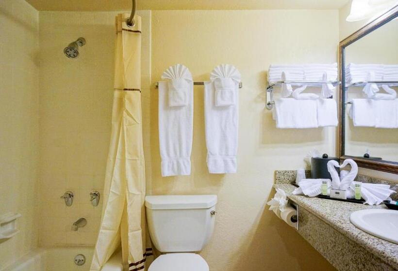 酒店 Castle Inn And Suites Anaheim