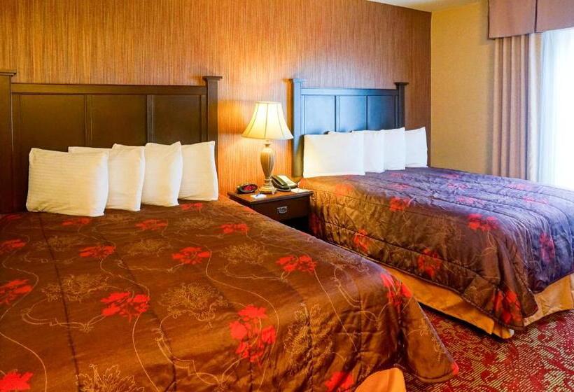 酒店 Castle Inn And Suites Anaheim