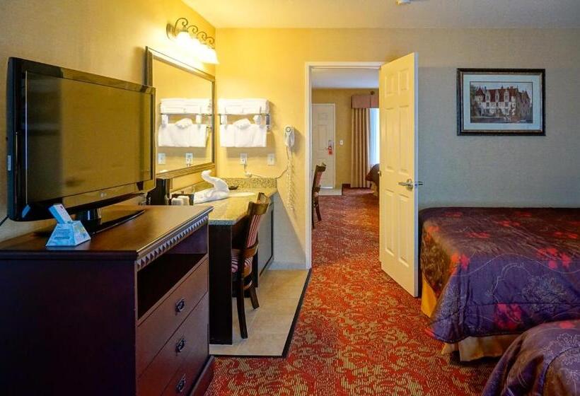 בית מלון כפרי Castle Inn And Suites Anaheim
