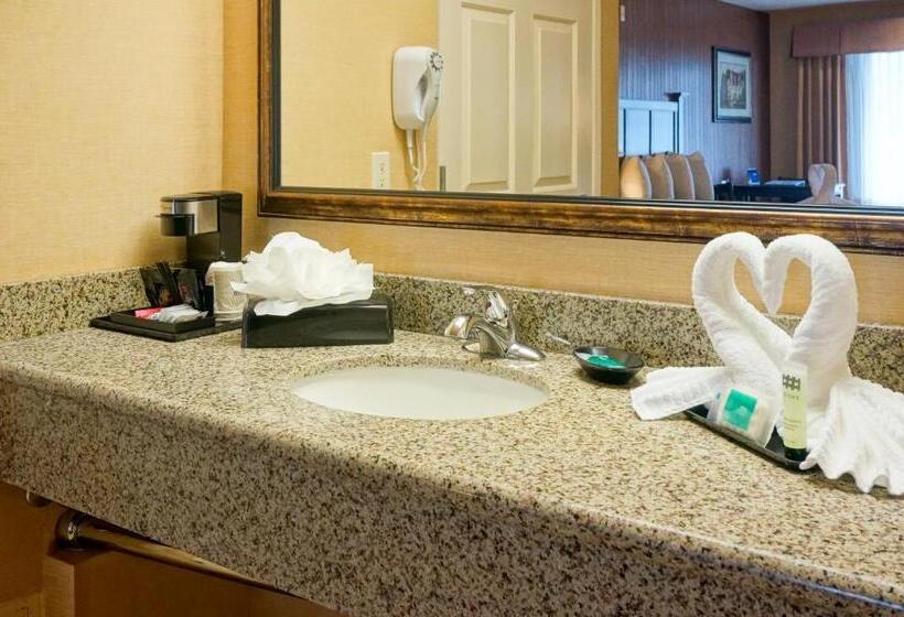 בית מלון כפרי Castle Inn And Suites Anaheim