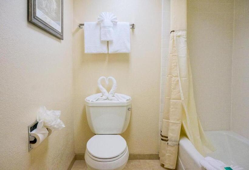 בית מלון כפרי Castle Inn And Suites Anaheim