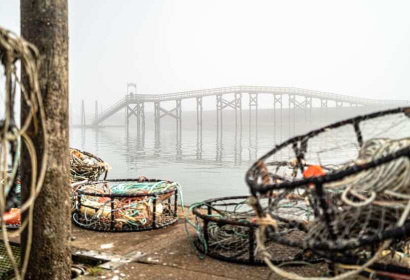 هتل Chateau Westport Resort