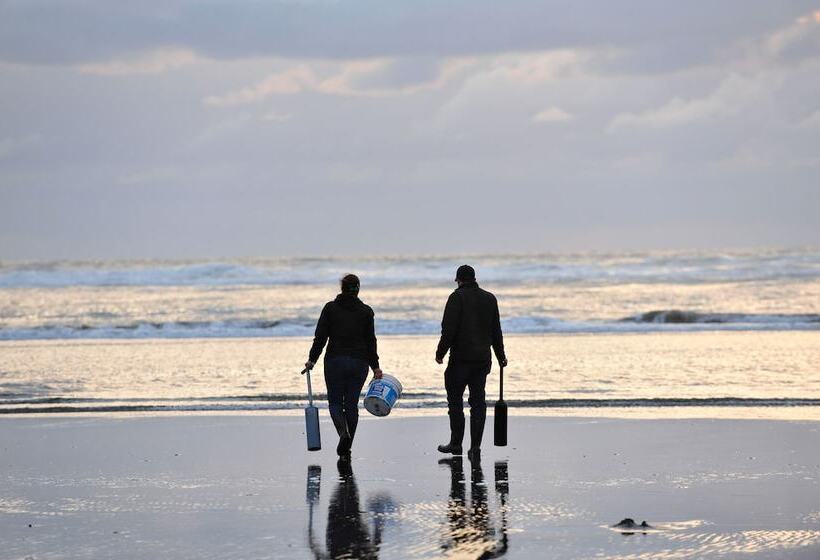 هتل Chateau Westport Resort