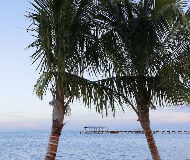 فندق Cheeca Lodge & Spa