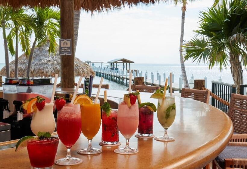 فندق Cheeca Lodge & Spa