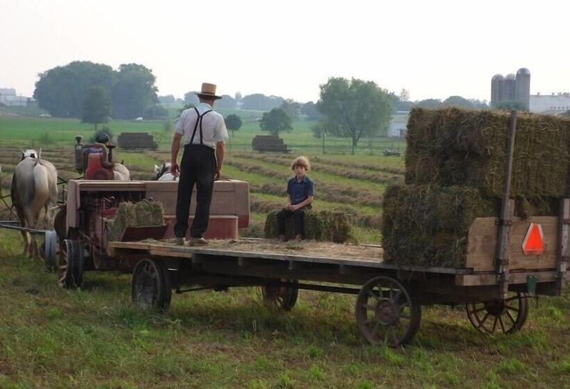 בית מלון כפרי Cherry Lane Motor Inn