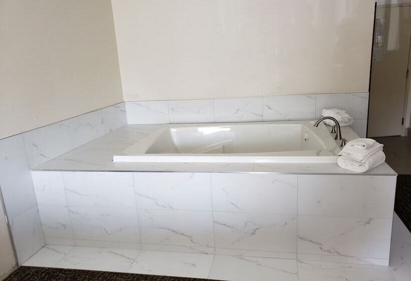 هتل Chicago Club Inn & Suite