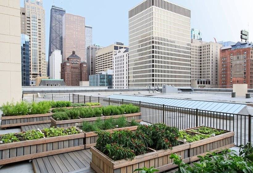 هتل Chicago Marriott Downtown Magnificent Mile