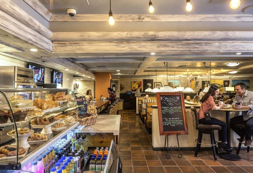 Circus Circus Hotel Casino Reno At The Row