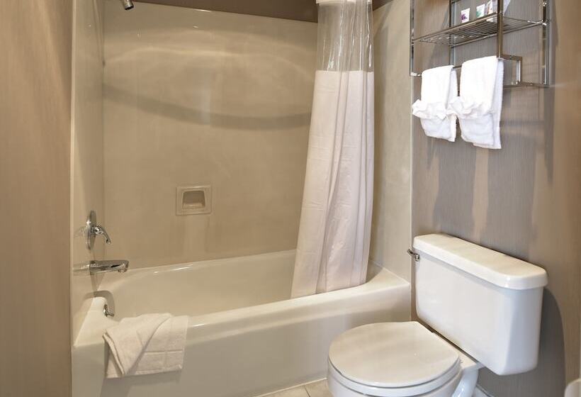 فندق City Center Inn And Suites