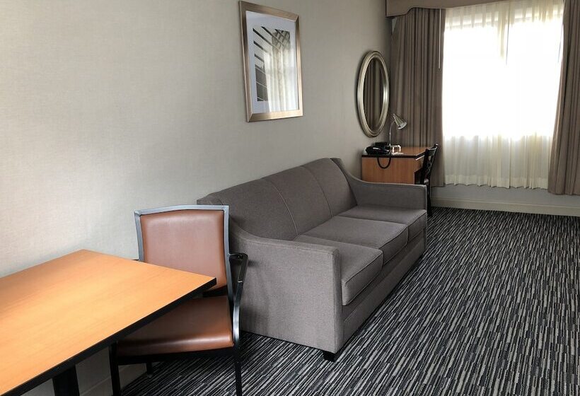 فندق City Center Inn And Suites