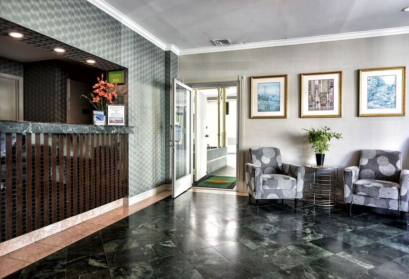 فندق City Center Inn And Suites