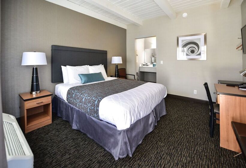 فندق City Center Inn And Suites