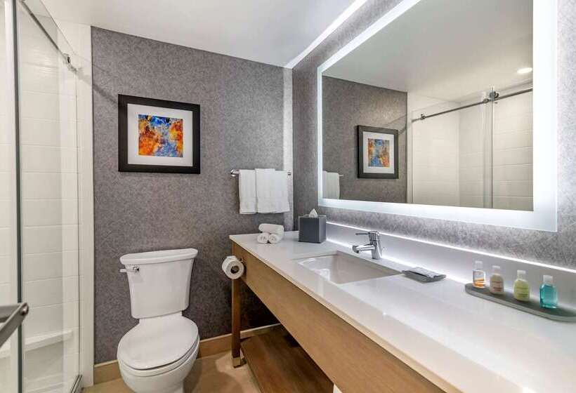 فندق Clarion Inn