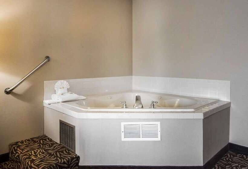 ホテル Clarion Inn & Suites   University Area