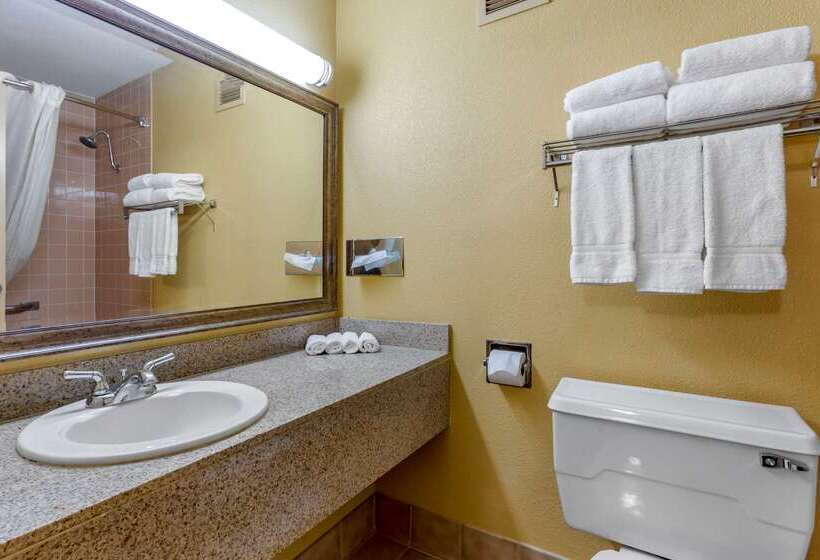 هتل Clarion Inn & Suites