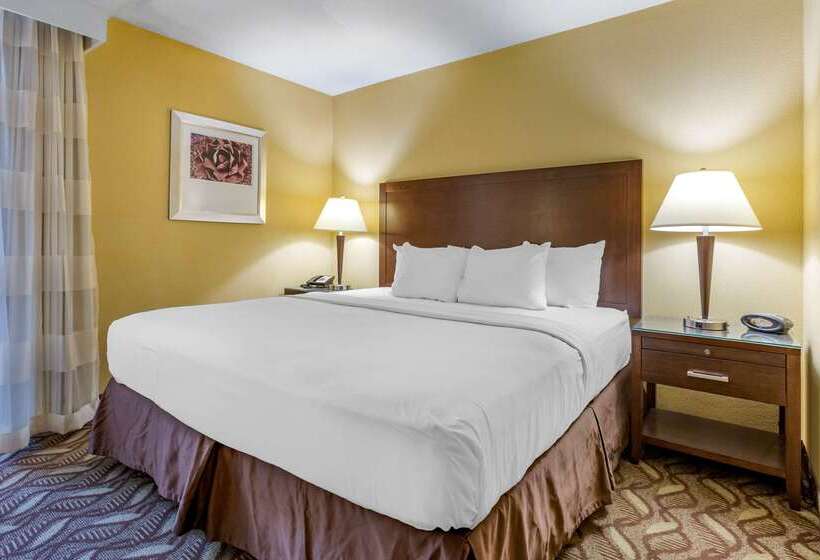 هتل Clarion Inn & Suites