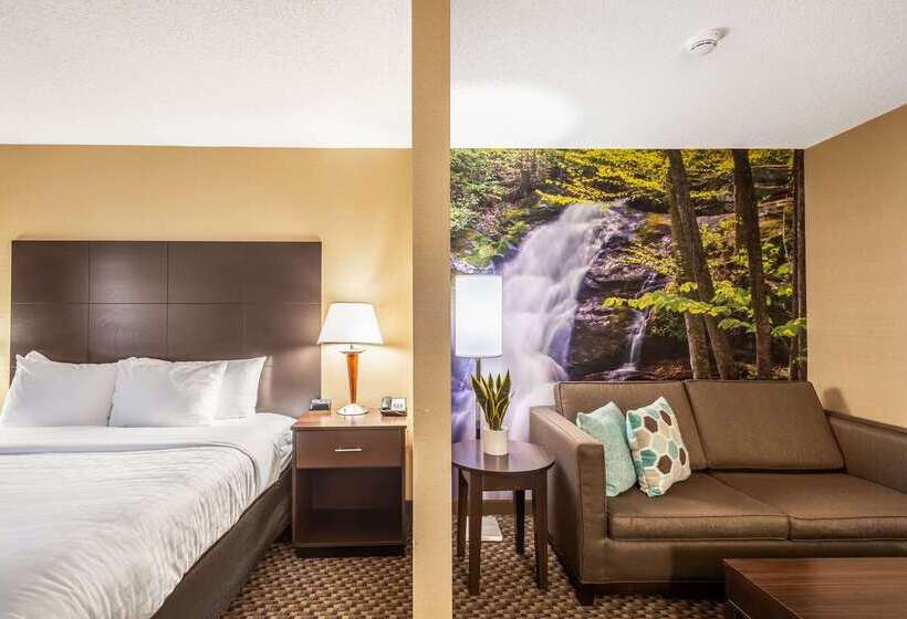 ホテル Clarion Pointe Harrisonburg