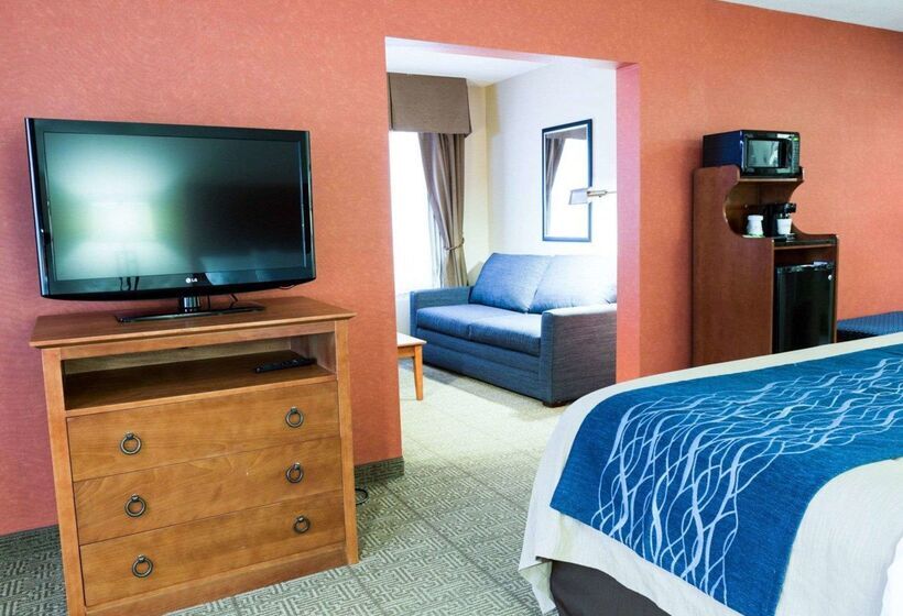 בית מלון כפרי Comfort Inn Civic Center