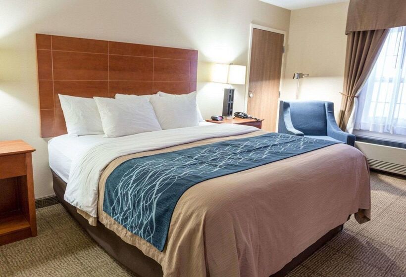 בית מלון כפרי Comfort Inn Civic Center