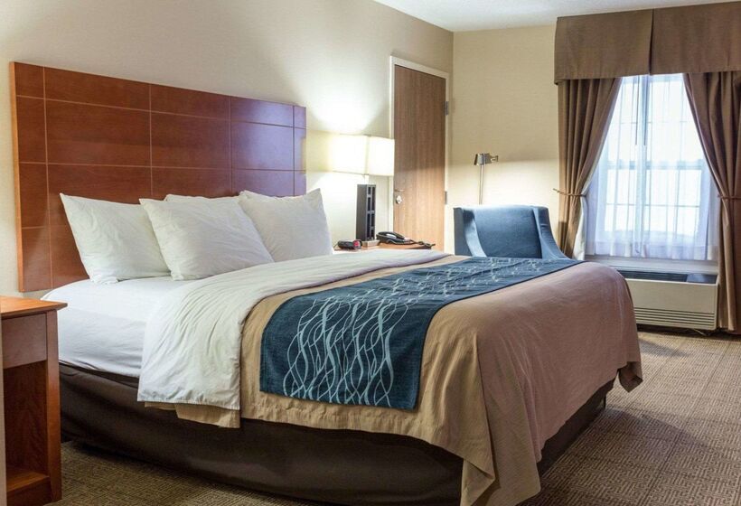 בית מלון כפרי Comfort Inn Civic Center