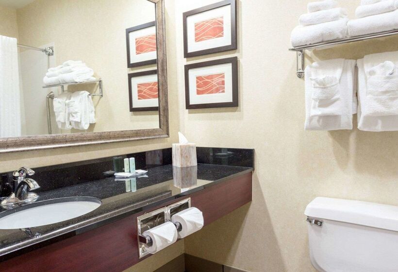 בית מלון כפרי Comfort Inn Civic Center