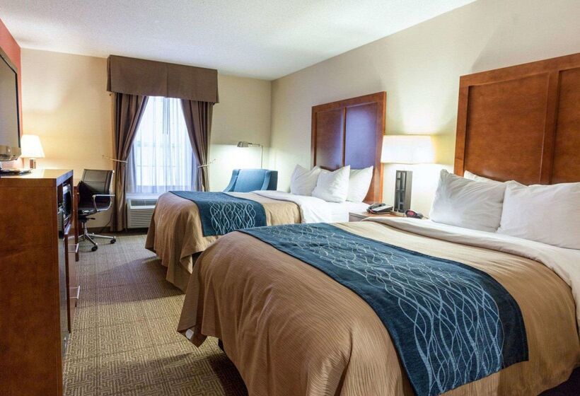 בית מלון כפרי Comfort Inn Civic Center